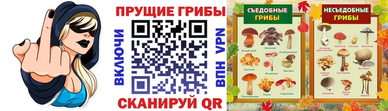 ОМГ ОМГ ссылки  Плавск  Псилоцибиновые грибы MAGIC MUSHROOMS  цена  